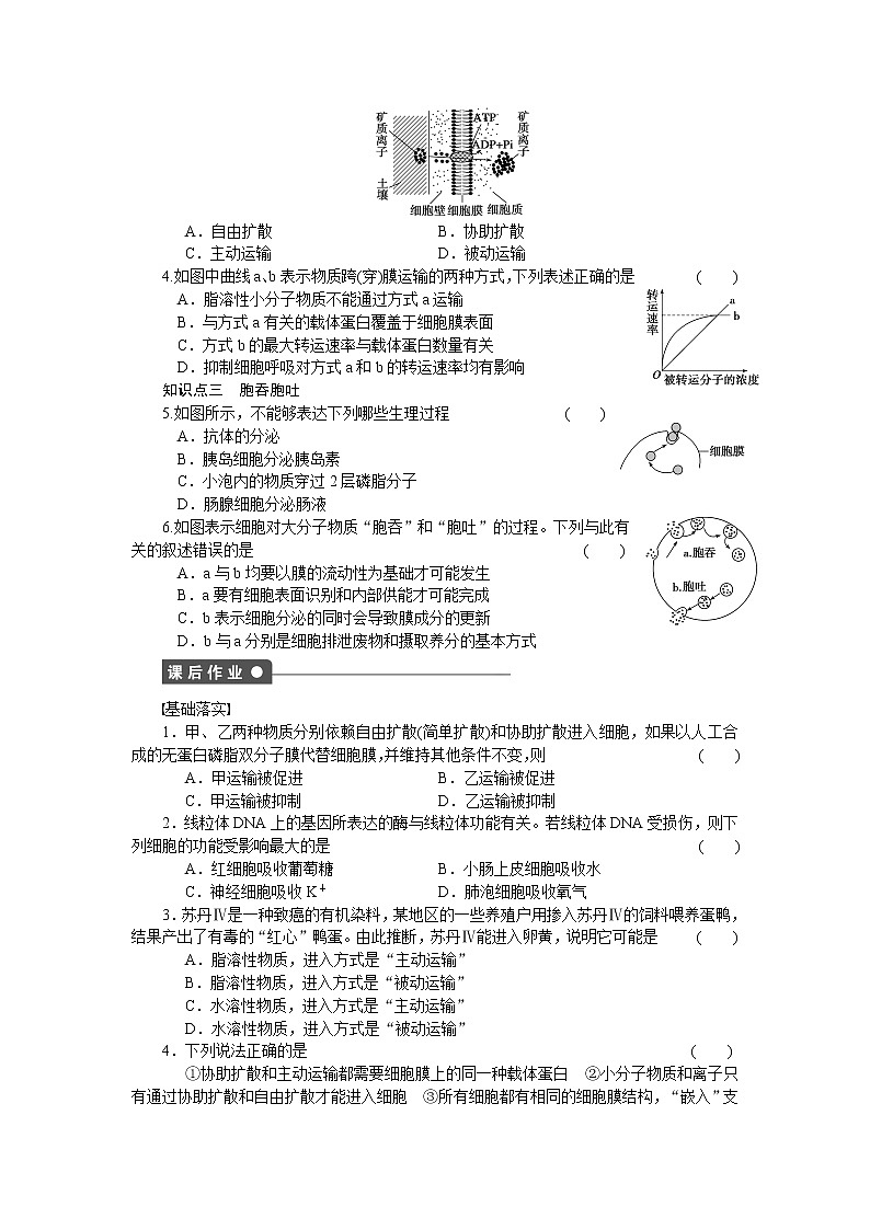 生物人教版必修1对点训练：4.3 物质跨膜运输的方式 word版含解析02