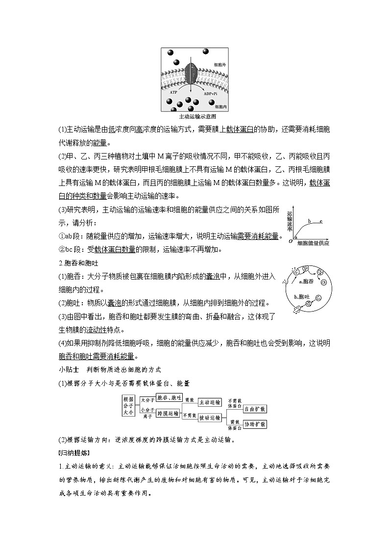 生物人教版必修1习题：4.3 物质跨膜运输的方式 word版含解析03