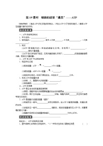 人教版 (新课标)必修1《分子与细胞》第2节 细胞的能量“通货”──ATP复习练习题