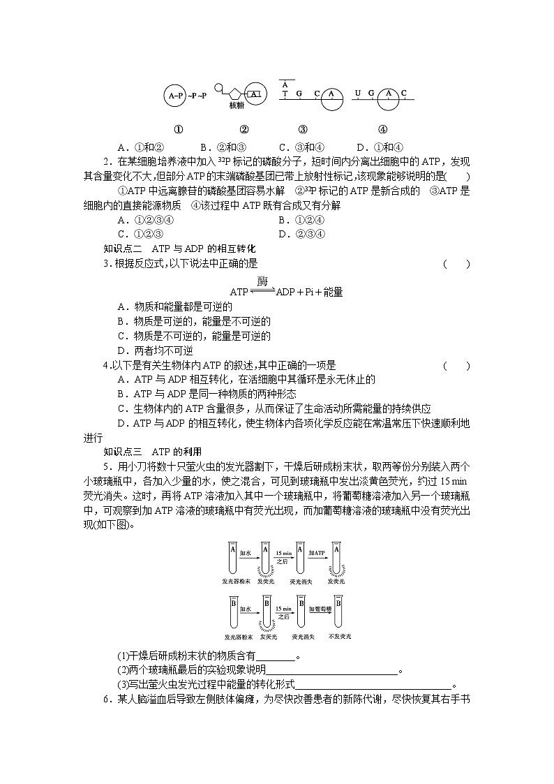 生物人教版必修1对点训练：5.2 细胞的能量“通货”——atp word版含解析02