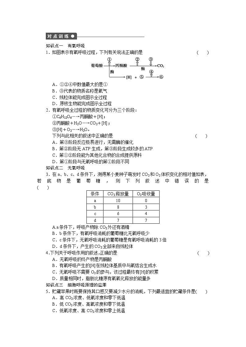 生物人教版必修1对点训练：5.3.2 细胞呼吸的原理及应用 word版含解析02