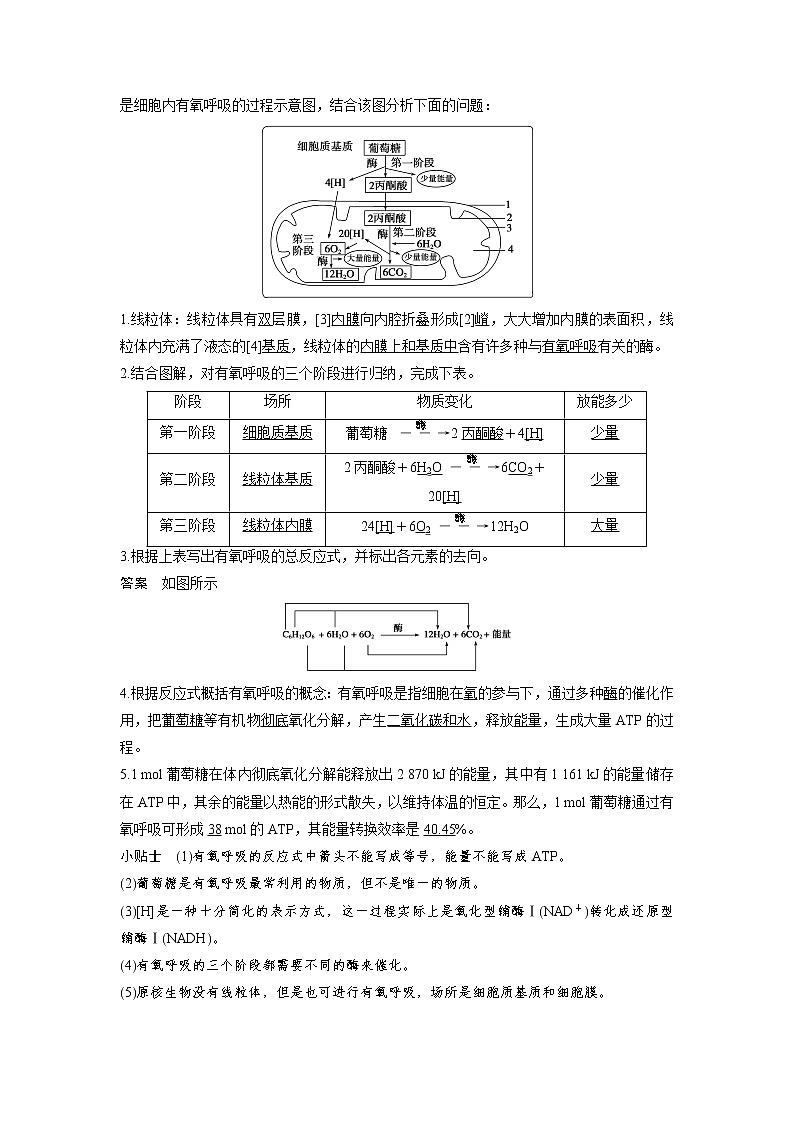 生物人教版必修1习题：5.3 atp的主要来源——细胞呼吸（一） word版含解析03