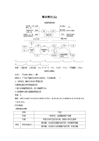 高中生物人教版 (新课标)必修1《分子与细胞》第五章 细胞的能量供应和利用综合与测试同步达标检测题