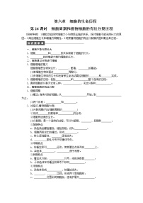 高中生物人教版 (新课标)必修1《分子与细胞》第1节 细胞的增殖一课一练