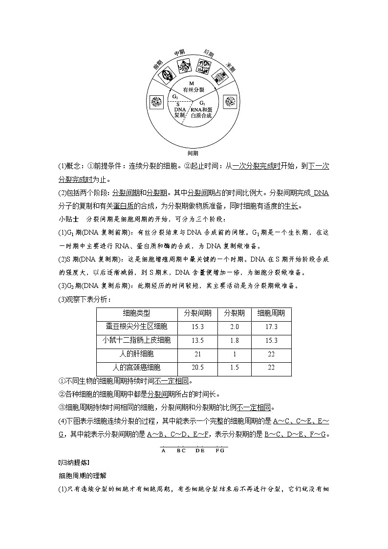 生物人教版必修1习题：6.1 细胞的增殖（一） word版含解析03