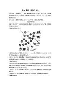 高中生物人教版 (新课标)必修1《分子与细胞》第2节 细胞的分化课后复习题