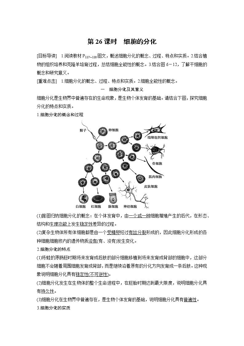 生物人教版必修1习题：6.2 细胞的分化 word版含解析01