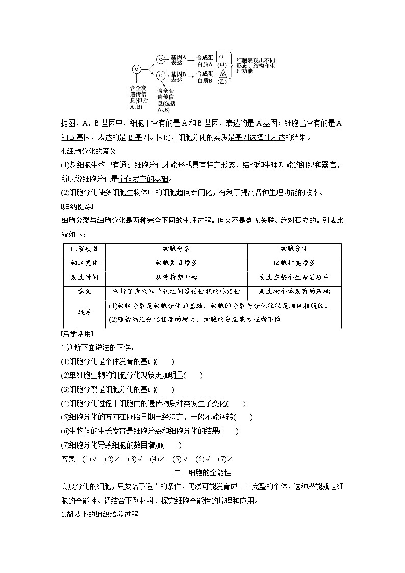 生物人教版必修1习题：6.2 细胞的分化 word版含解析02