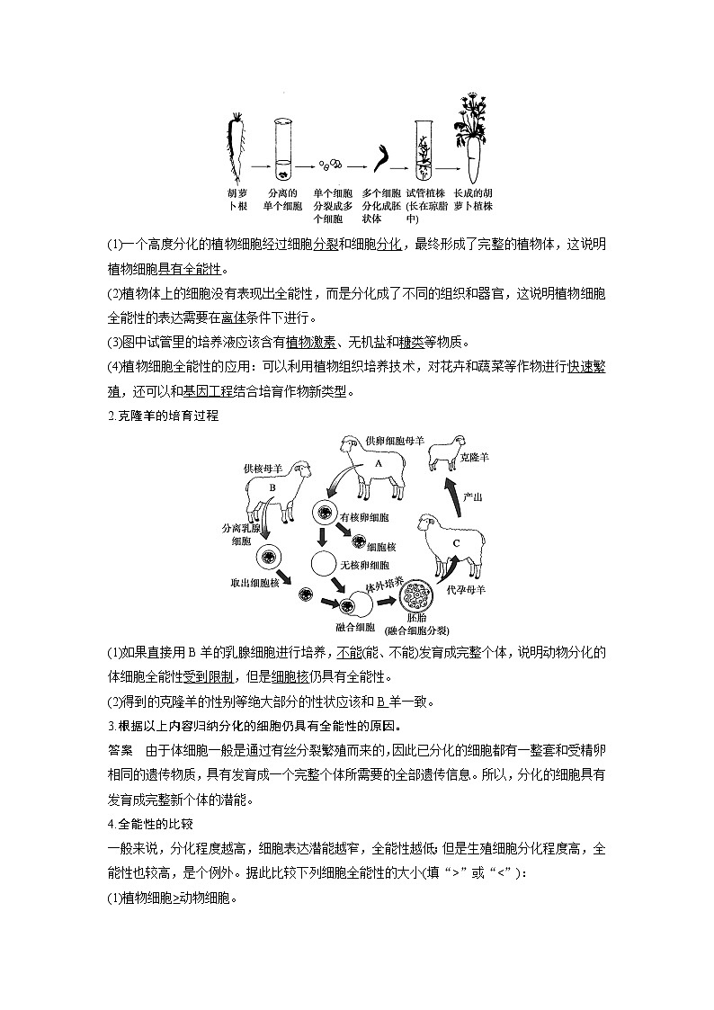 生物人教版必修1习题：6.2 细胞的分化 word版含解析03