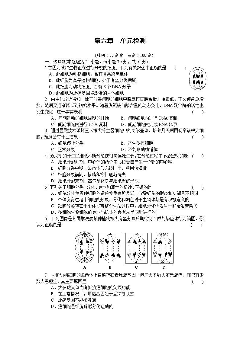 生物人教版必修1：第六章 单元检测 word版含解析01