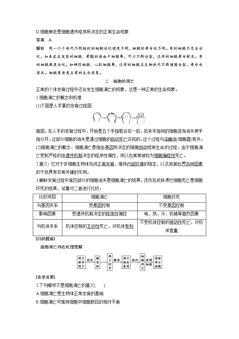 生物人教版必修1习题：6.3-4 细胞的衰老、凋亡与癌变 word版含解析02