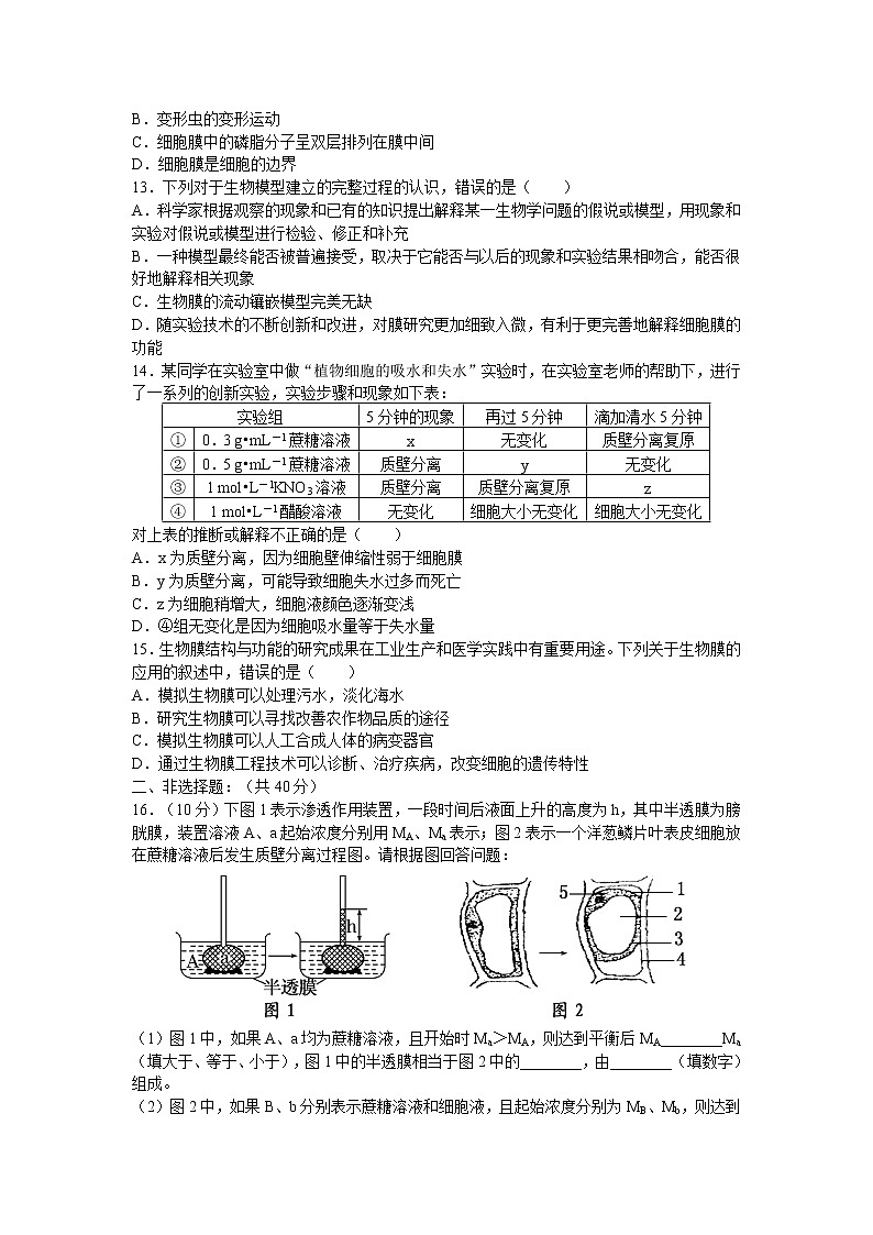 新人教版高中生物必修一《物质跨膜运输的实例及生物膜的流动镶嵌模型》测试题03