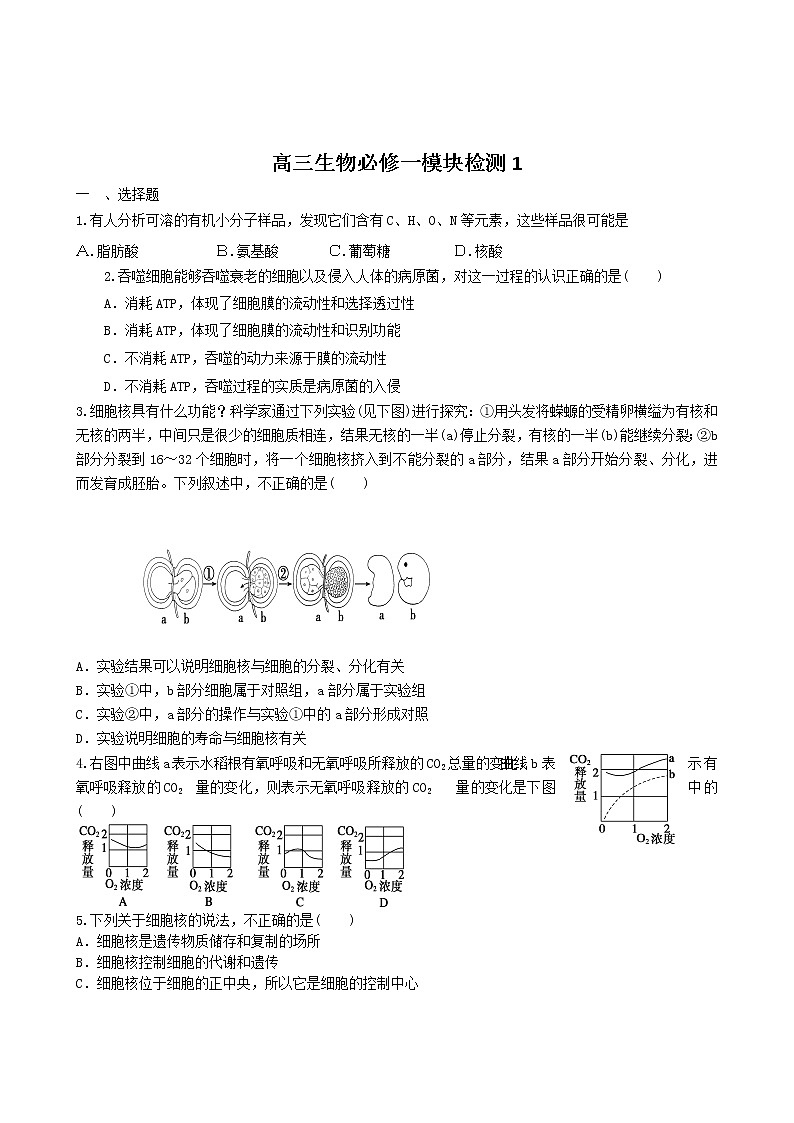 新人教版高三生物必修一模块检测 (1)01