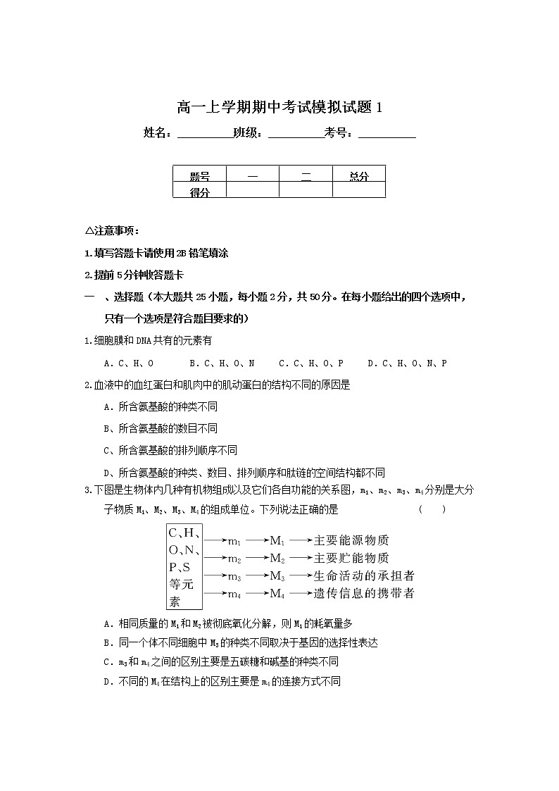 新人教版高一上学期期中考试模拟试题1第1页