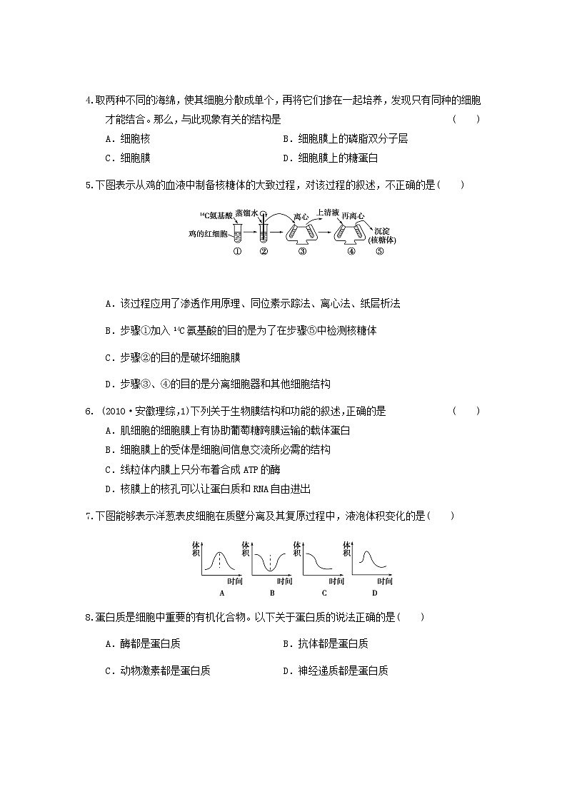 新人教版高一上学期期中考试模拟试题1第2页