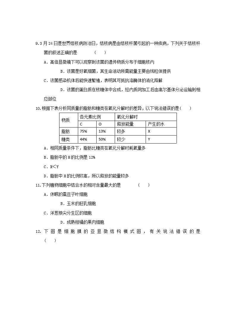 新人教版高一上学期期中考试模拟试题1第3页
