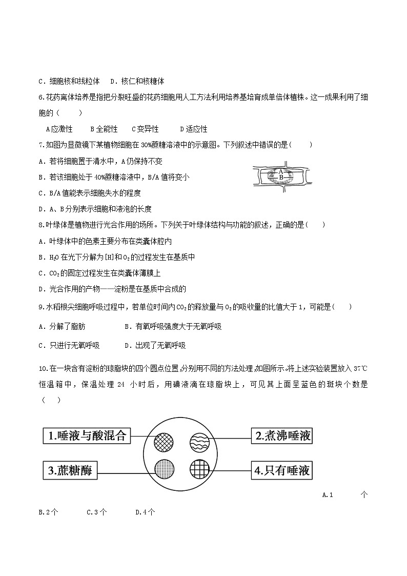新人教版高三生物必修一模块检测 (9)02
