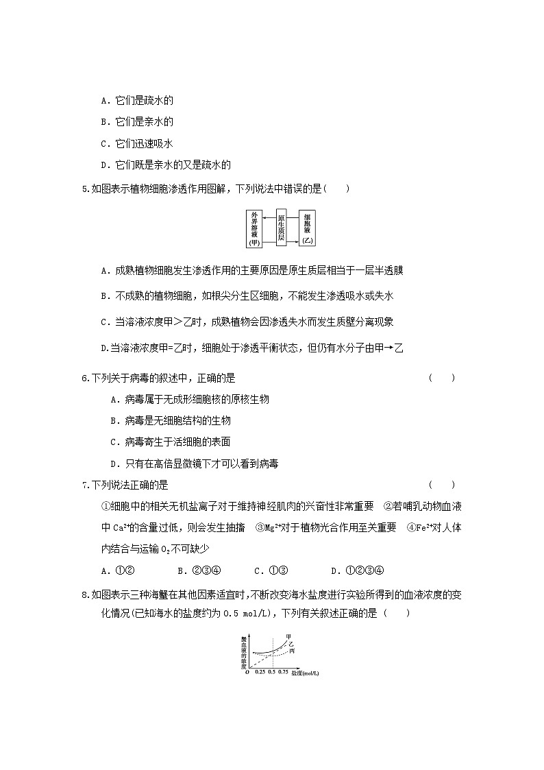 新人教版高一上学期期中考试模拟试题3第2页