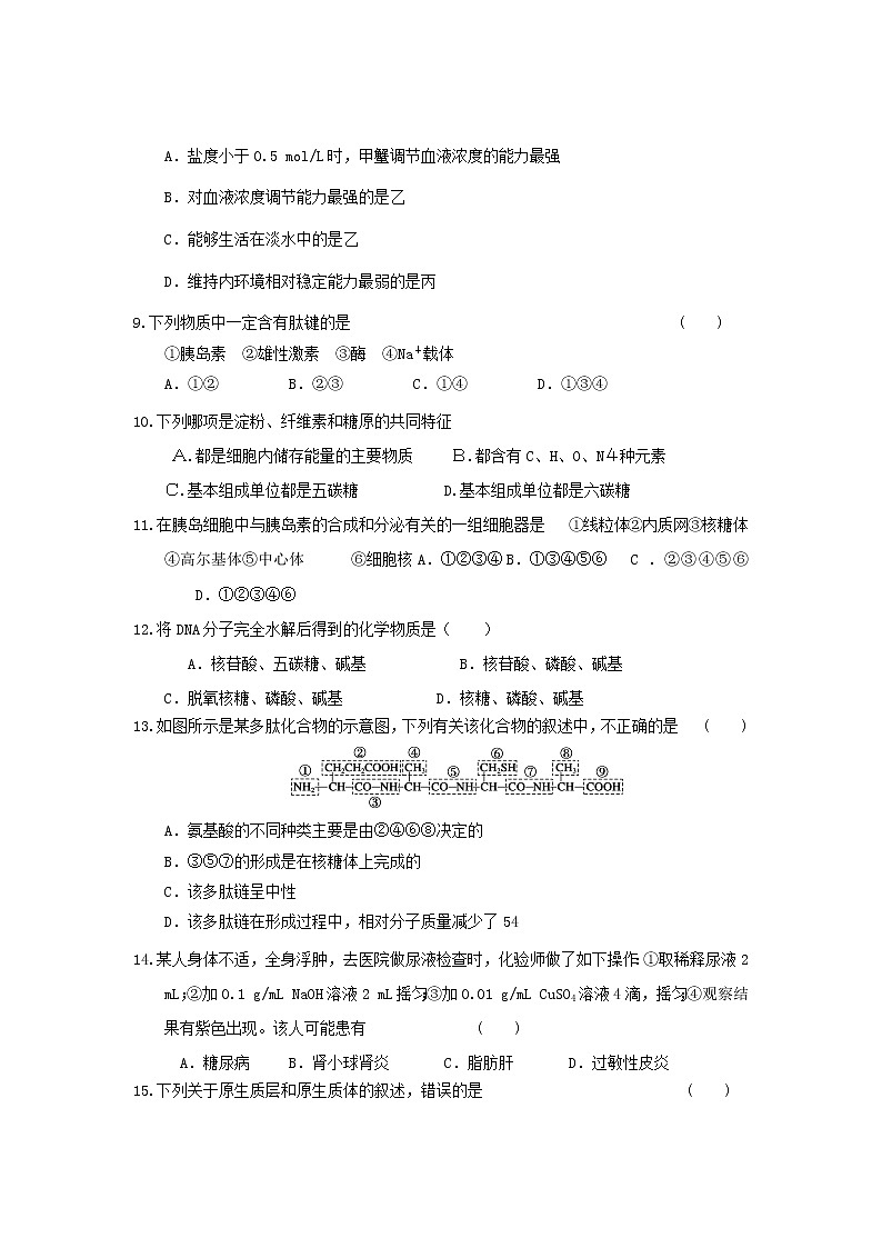 新人教版高一上学期期中考试模拟试题3第3页