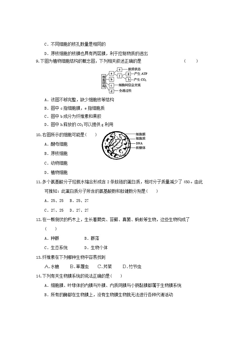 新人教版高一上学期期中考试模拟试题403