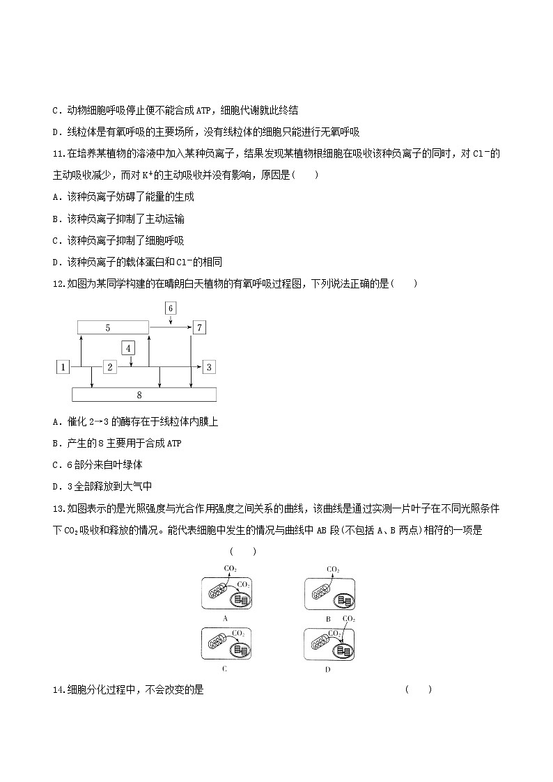 新人教版高三生物必修一模块检测 (4)第3页