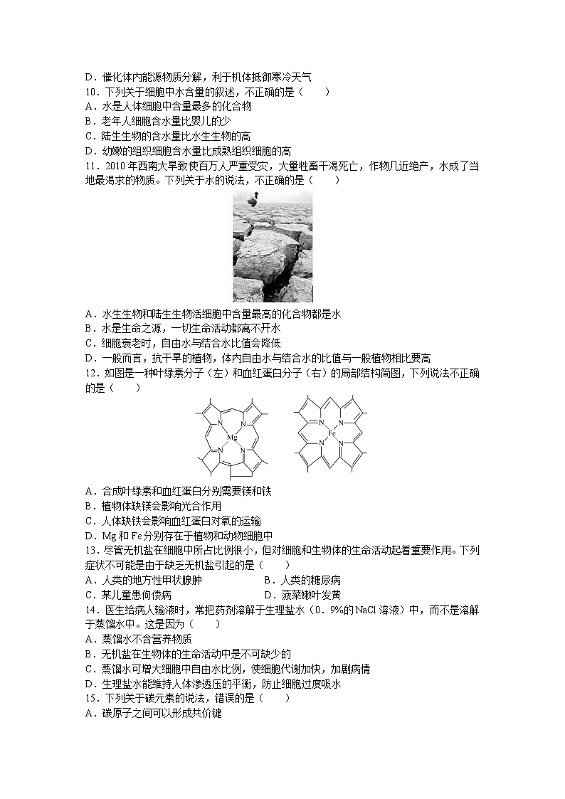 新人教版高中生物必修一《细胞中的糖类、脂质和无机物》测试题02