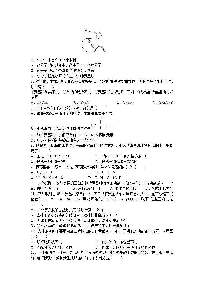新人教版高中生物必修一《生命活动的主要承担者——蛋白质》测试题02