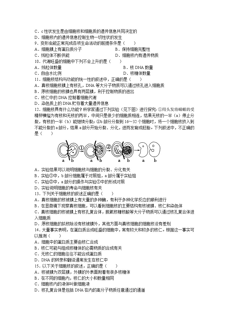 新人教版高中生物必修一《细胞核》测试题02