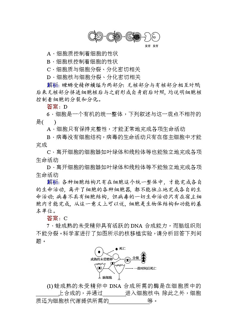 高中生物必修1（新课标）分层落实训练：3.3细胞核——系统的控制中心+Word版含解析02