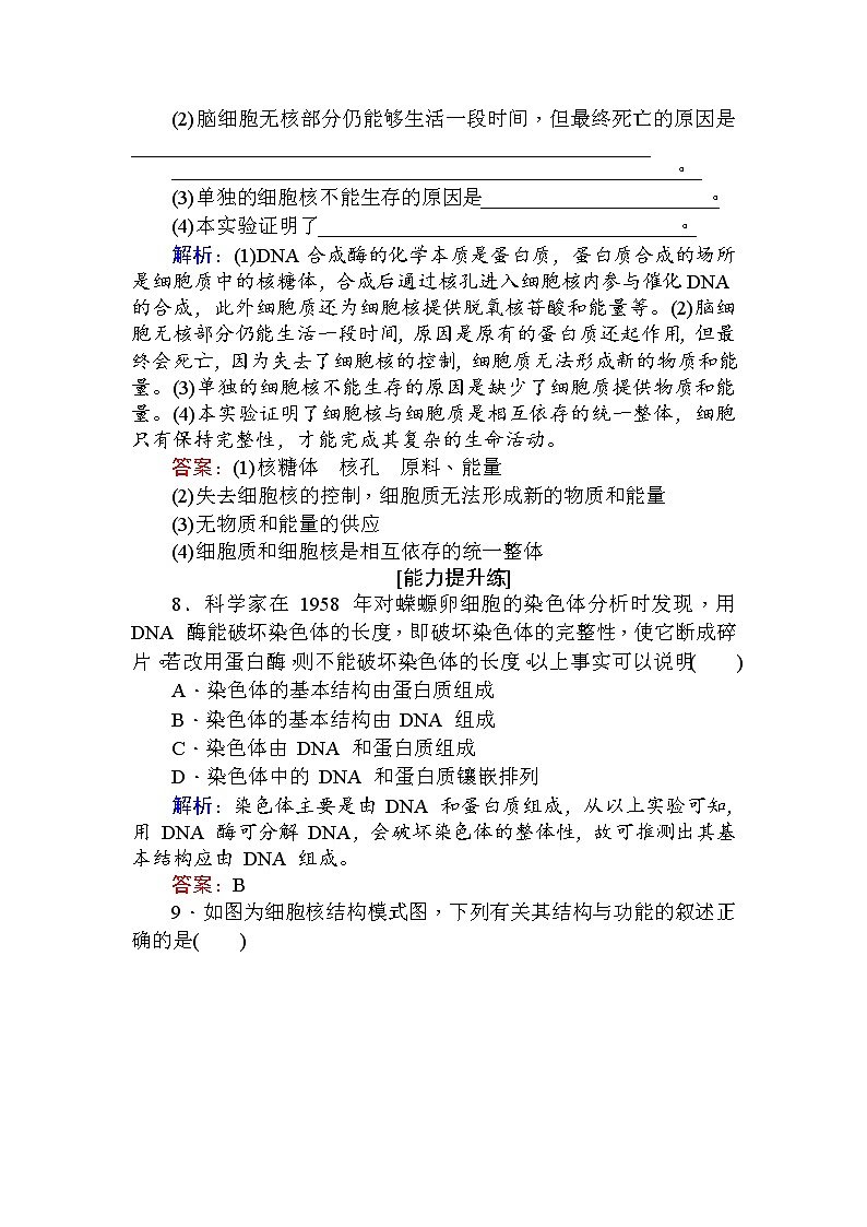 高中生物必修1（新课标）分层落实训练：3.3细胞核——系统的控制中心+Word版含解析03