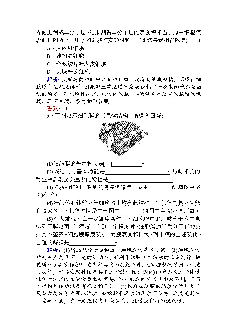 高中生物必修1（新课标）分层落实训练：4.2生物膜的流动镶嵌模型+Word版含解析02