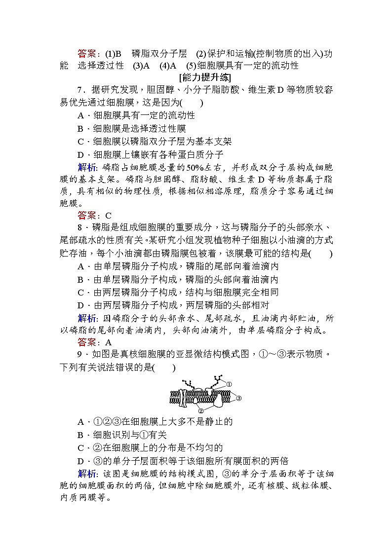高中生物必修1（新课标）分层落实训练：4.2生物膜的流动镶嵌模型+Word版含解析03