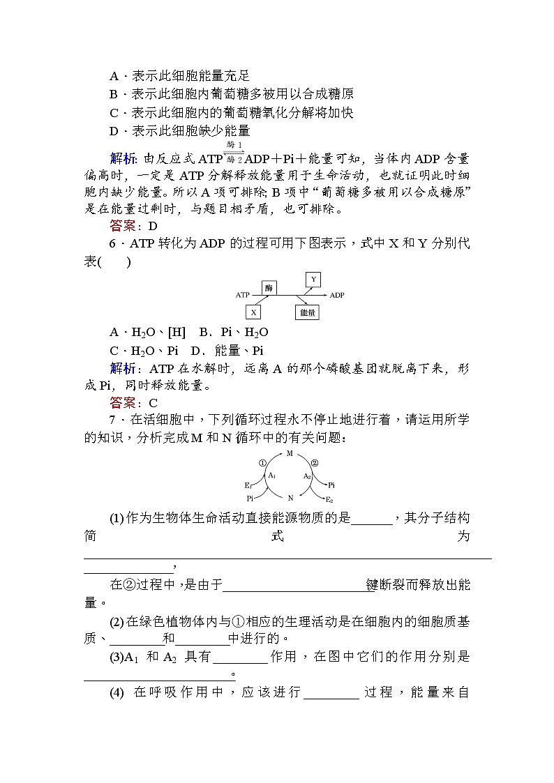 高中生物必修1（新课标）分层落实训练：5.2细胞的能量“通货”──ATP+Word版含解析02
