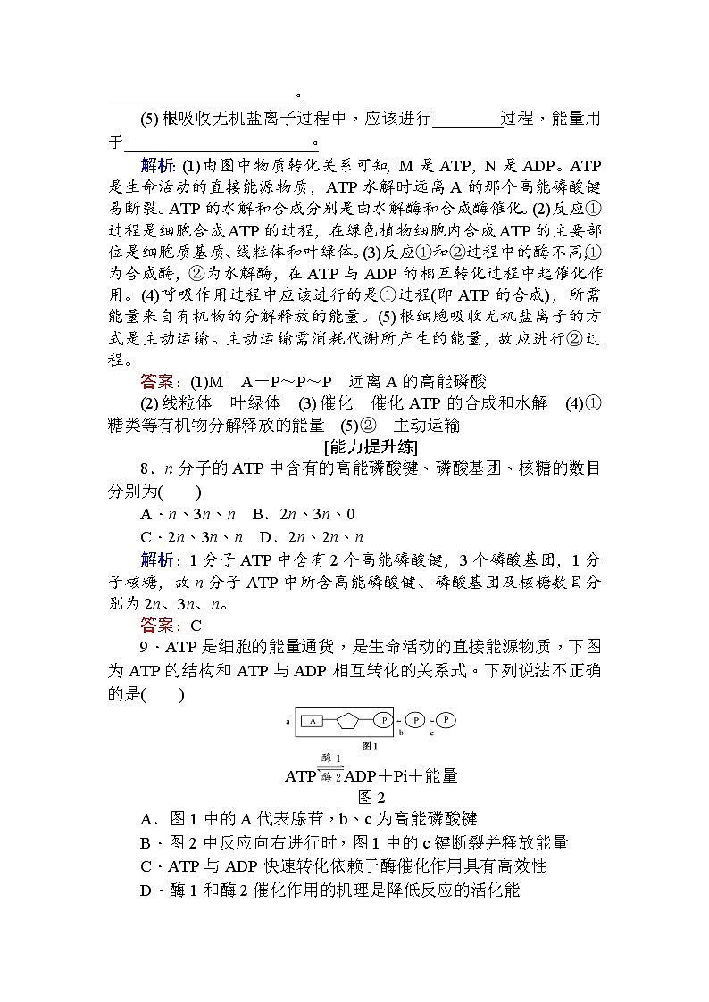 高中生物必修1（新课标）分层落实训练：5.2细胞的能量“通货”──ATP+Word版含解析03