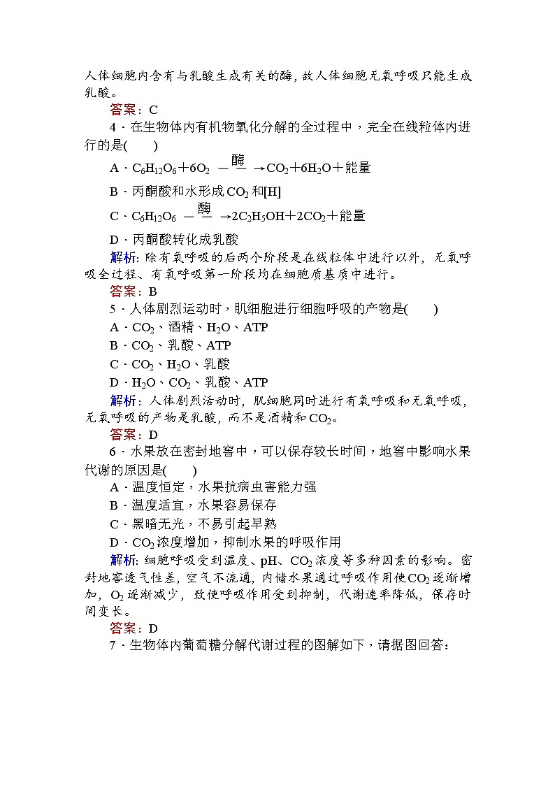 高中生物必修1（新课标）分层落实训练：5.3ATP的主要来源——细胞呼吸.2+Word版含解析02