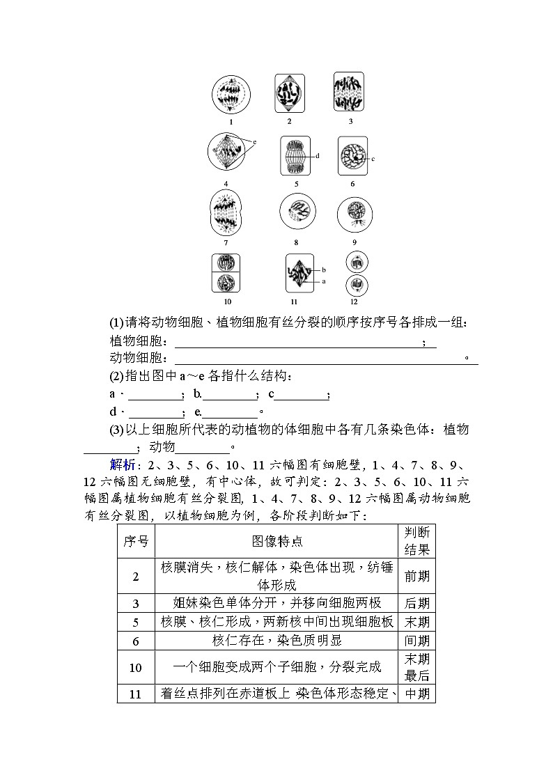 高中生物必修1（新课标）分层落实训练：6.1细胞的增殖.1+Word版含解析03