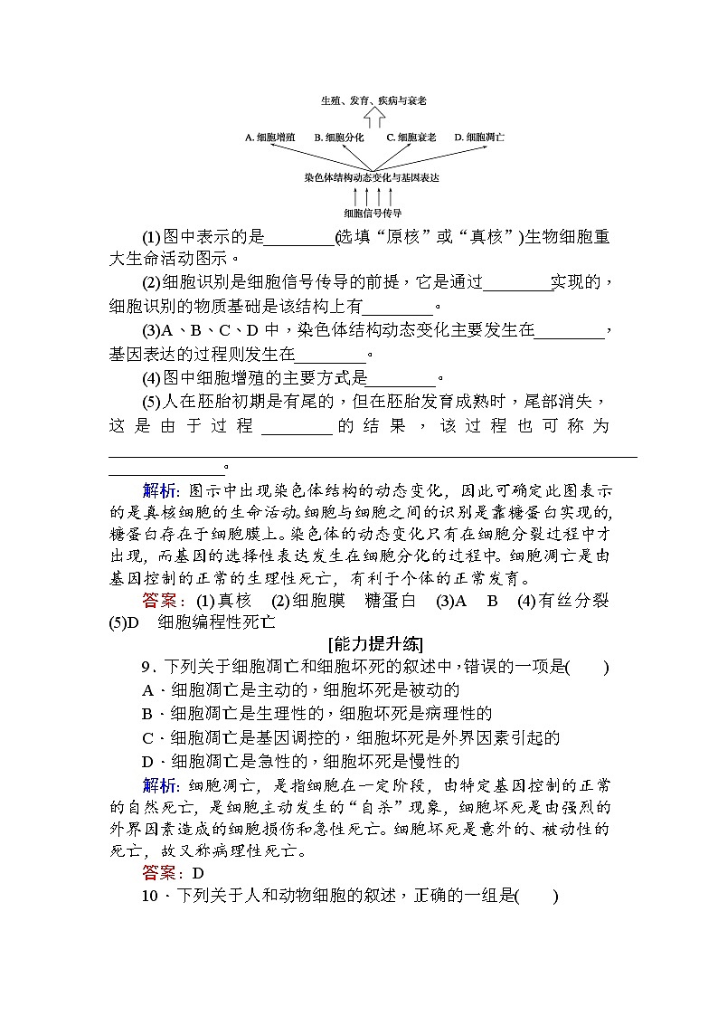 高中生物必修1（新课标）分层落实训练：6.3细胞的衰老和凋亡+Word版含解析03