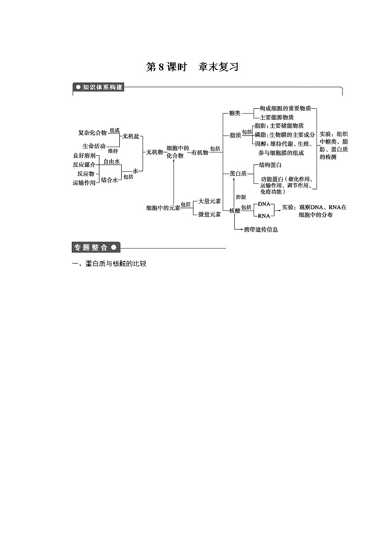 生物人教版必修1：第二章 组成细胞的分子 章末复习 Word版含解析 试卷01