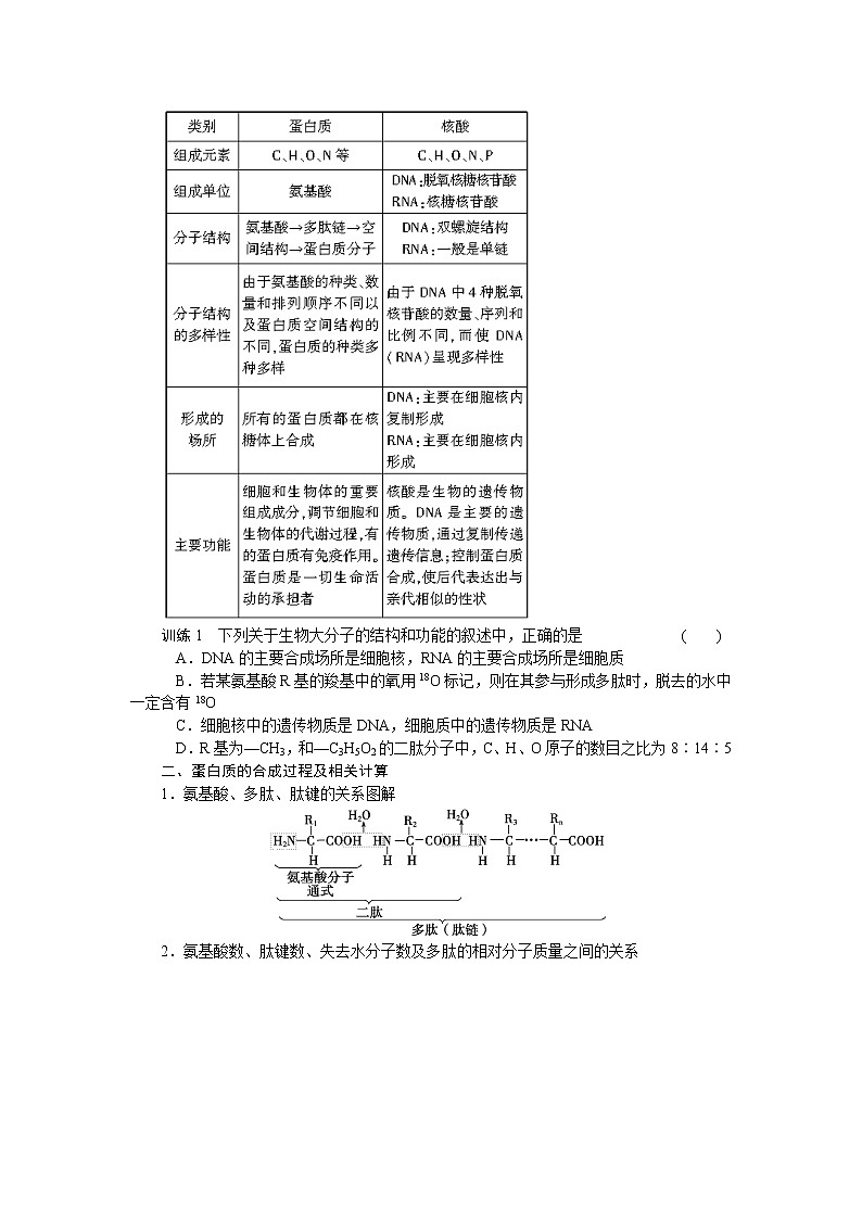 生物人教版必修1：第二章 组成细胞的分子 章末复习 Word版含解析 试卷02