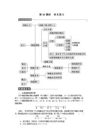 高中生物人教版 (新课标)必修1《分子与细胞》第六章 细胞的生命历程综合与测试课后复习题