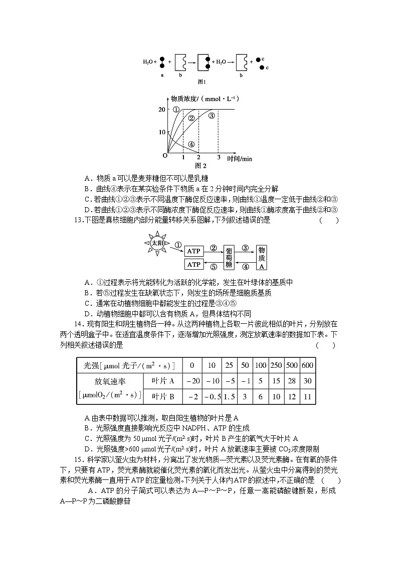 生物人教版必修1：期末综合检测（二） Word版含解析03