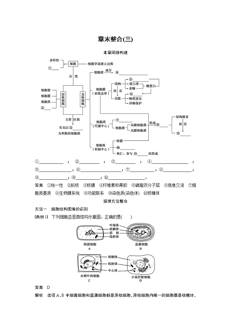 生物人教版必修1习题：章末整合（三） Word版含解析01