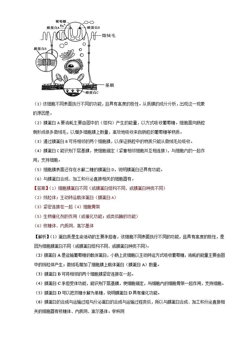 专题06 大题易丢分-上学期期末考试高一生物备考黄金30题（解析版）Word版含解析03