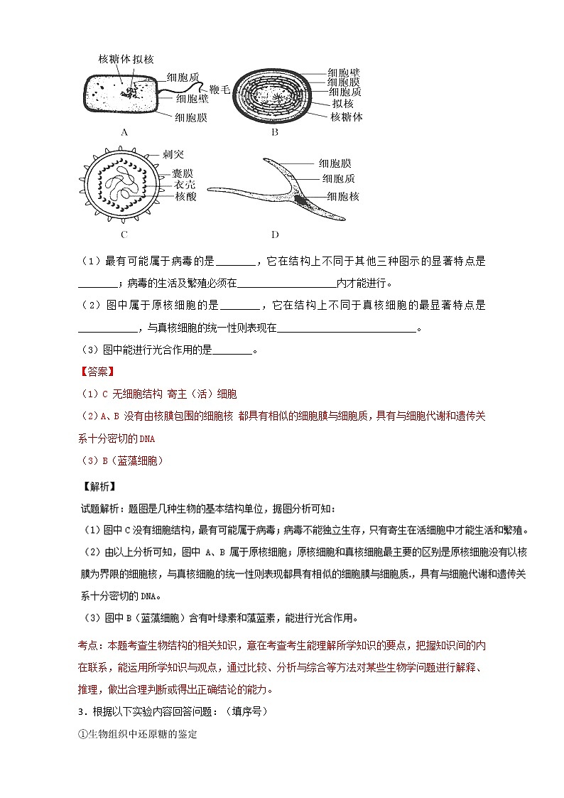 专题02 大题好拿分（基础版）-上学期期末考试高一生物备考黄金30题（解析版）Word版含解析02