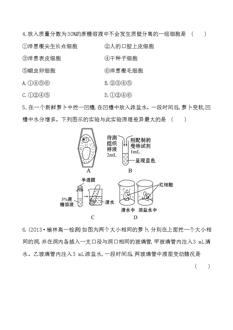 新人教版高中生物必修一课时提升卷(十一)  第4章  第1节02