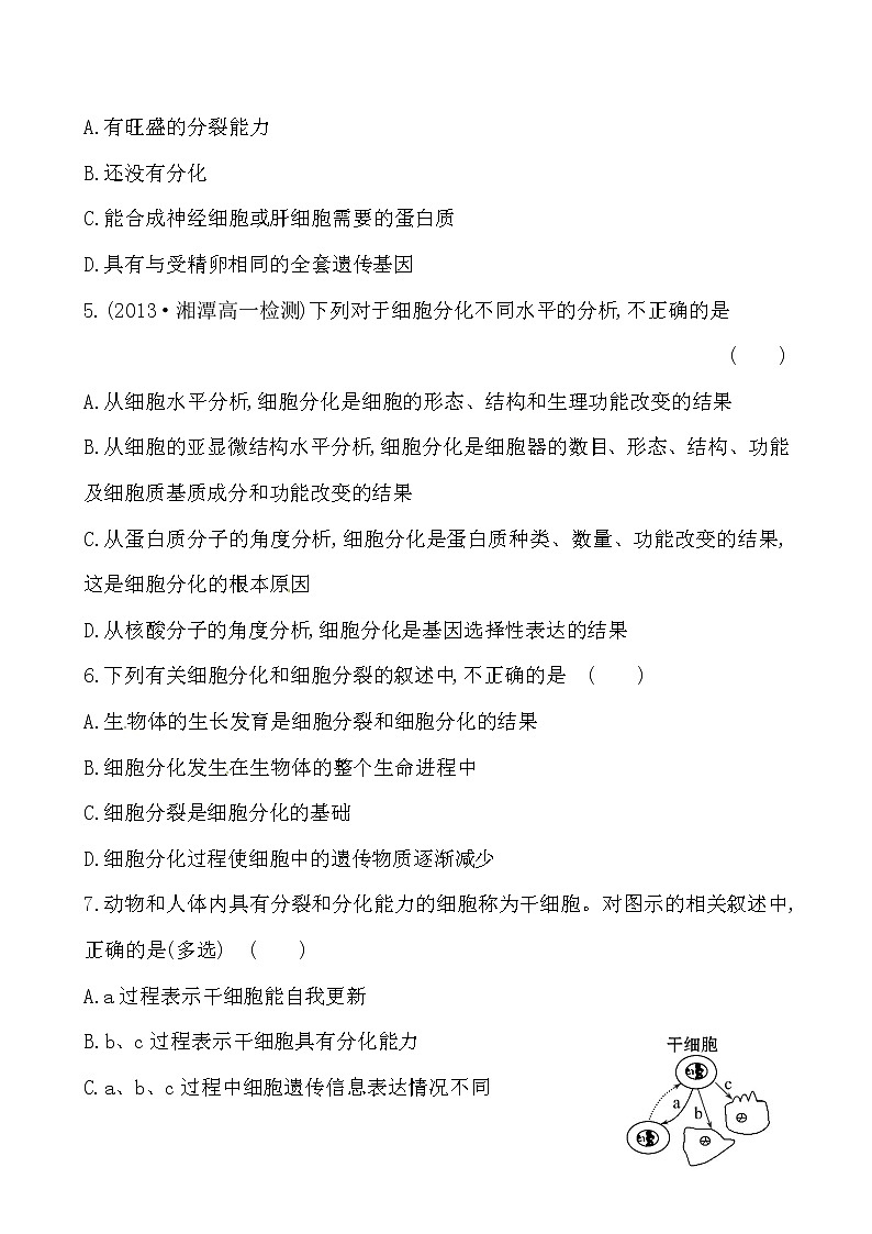 新人教版高中生物必修一课时提升卷(二十)  第6章  第2节02