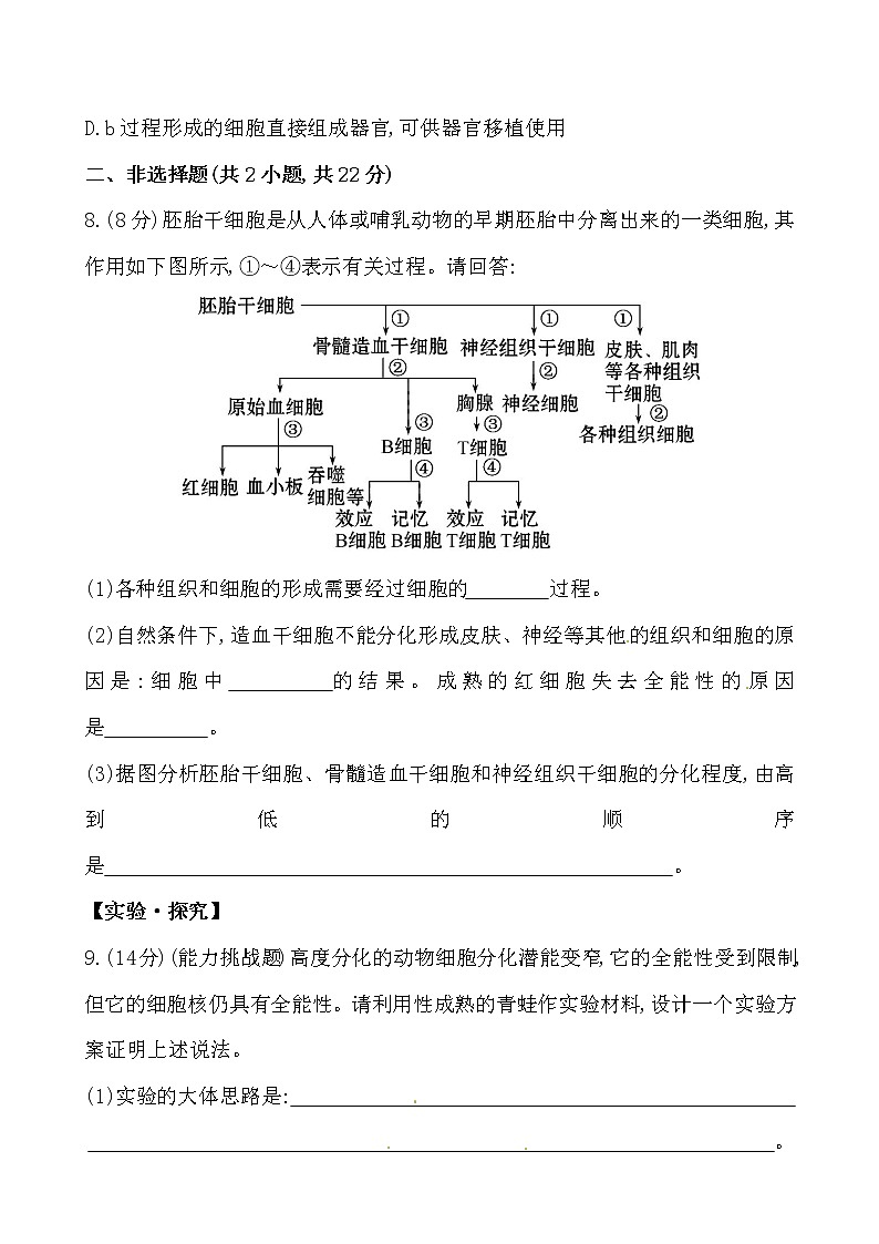 新人教版高中生物必修一课时提升卷(二十)  第6章  第2节03