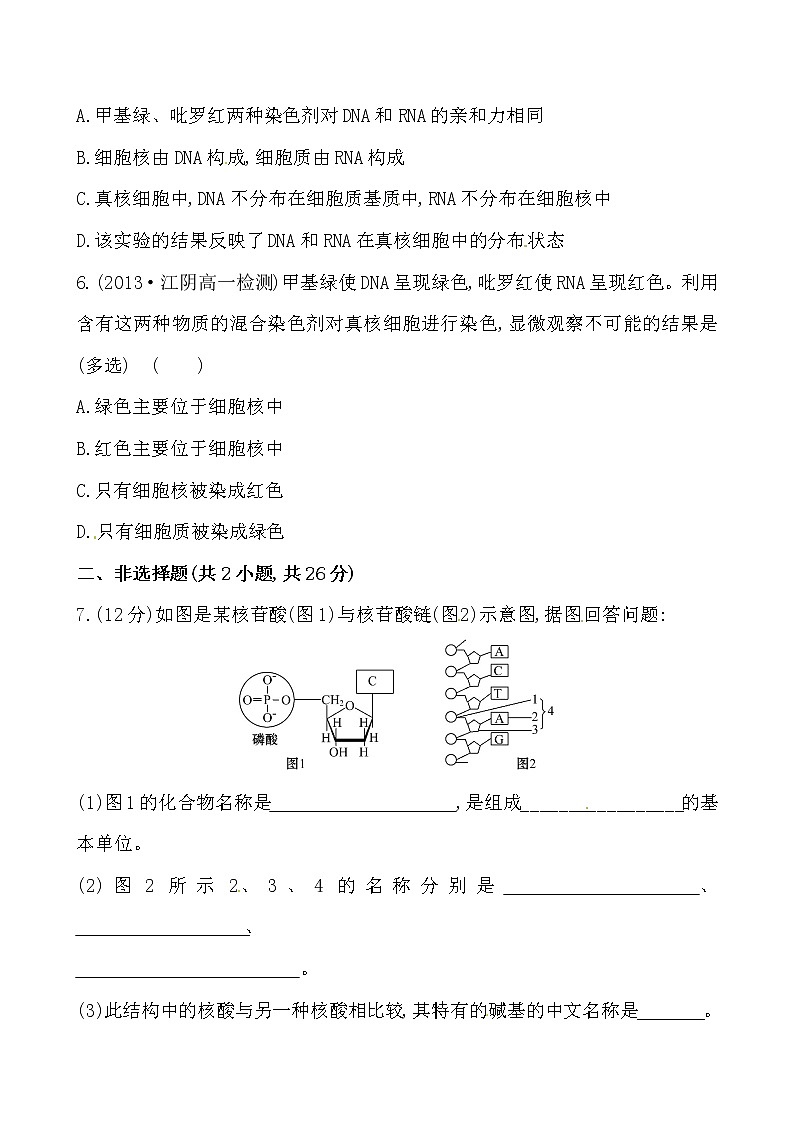 新人教版高中生物必修一课时提升卷(五)  第2章  第3节02