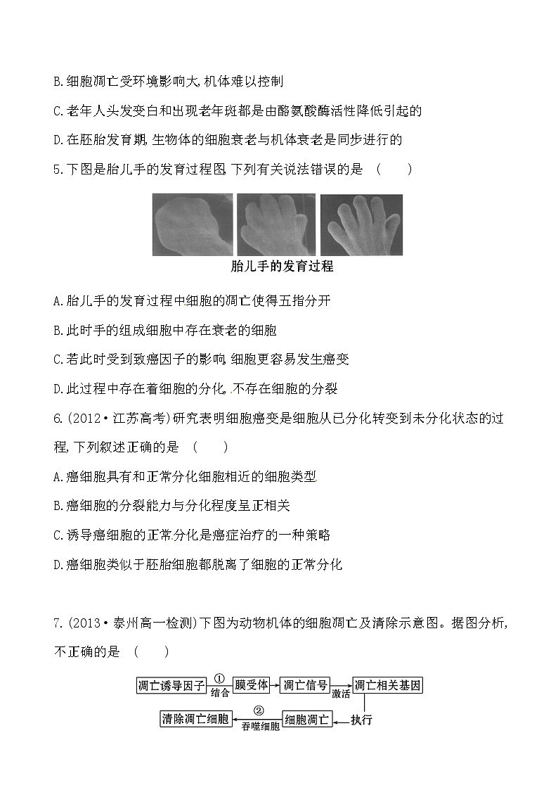 新人教版高中生物必修一课时提升卷(二十一)  第6章  第3节 第4节02