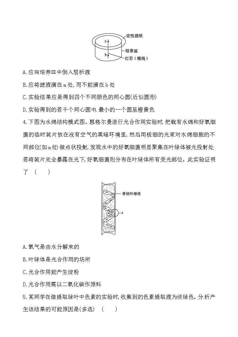 新人教版高中生物必修一课时提升卷(十六)  第5章  第4节 一02